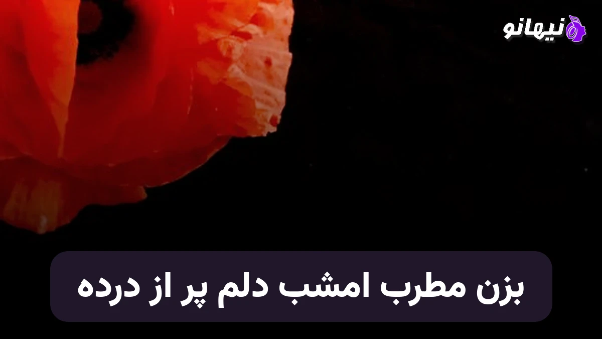 دانلود آهنگ بزن مطرب امشب دلم پر از درده صدای زن